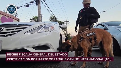 Unidad K9 se ha convertido en la primera institución en América Latina en obtener la certificación por parte de True Canine International (TCI)