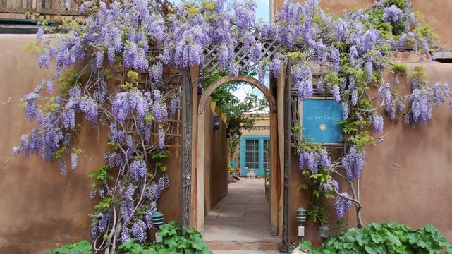 Travel + Leisure Readers' 5 Favorite Hotels in Santa Fe of 2024