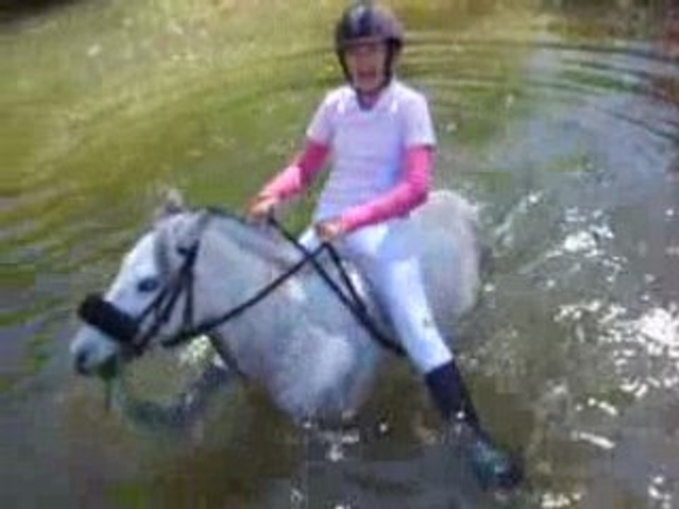 tous dans l'eau