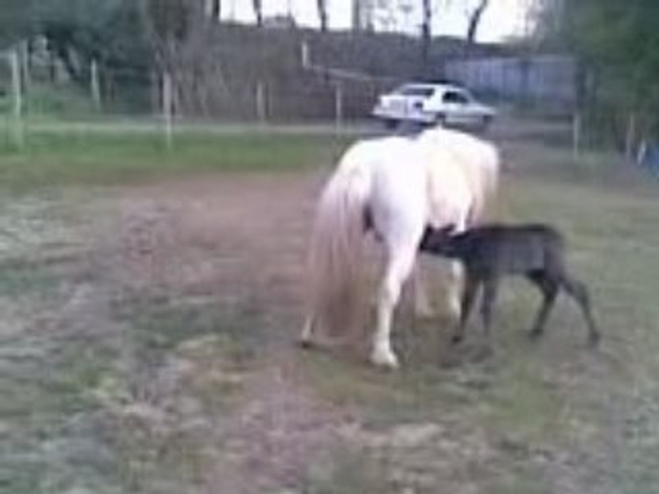 Vidéo010