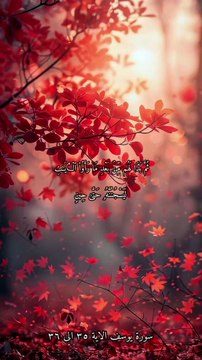 سورة يوسف بصوت الشيخ ياسر الدوسري الاية ٣٥ الى ٣٦