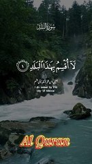 Quran video || Quran video Status || Quran Recitation || Quran telawat