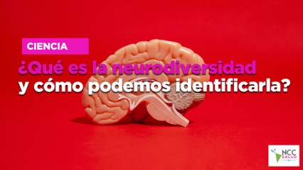 ¿Qué es la neurodiversidad y cómo podemos identificarla?