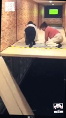 Funny clips #funny #funnyclips #entertainment