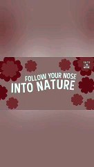 Faith In Nature Body Wash, Balacing Shower Gel