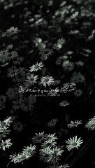 Nabi (S.A.W) Ki Wafaat Kay Baad