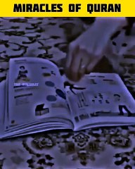 Miracles of Quran _ Miracles of Allah #shorts
