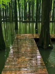 Pourquoi ce bateau a-t-il traversé la rivière à toute vitesse, laissant le vieux quai attendre jour et nuit ?