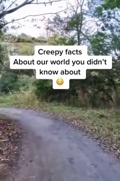 Mind-Blowing Facts That'll Haunt Your Dreams! #5 Will Shock You! #WeirdFacts #Unsolved