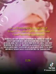 Islamic Lectures by Engineer Mohammad Ali Mirza