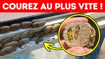 Si vous voyez cela sur un mur, faites attention (et je le pense vraiment)