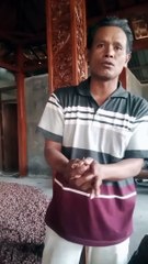 Bibit Unggul Bawang Merah Berkualitas dengan Harga Terjangkau 🌱