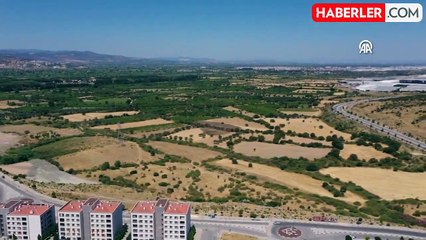 Çinli BYD, Manisa'da Elektrikli Otomobil Üretim Tesisi Kuracak