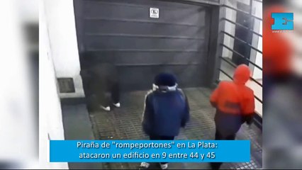 Las "pirañas" rompeportones en La Plata: en banda, atacaron un edificio céntrico