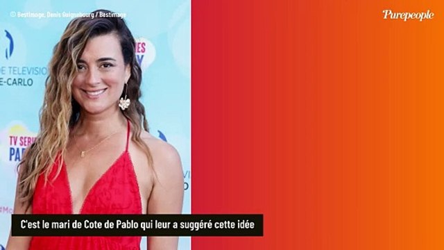 Michael Weatherly et Cote de Pablo (NCIS) trop proches ? Le mari de cette dernière a fait une proposition surprenante aux acteurs