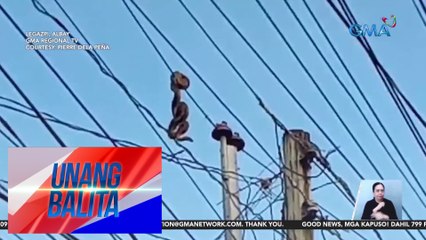Sawang pumulupot sa linya ng kuryente, nagdulot ng mahigit 3 oras na brownout | Unang Balita