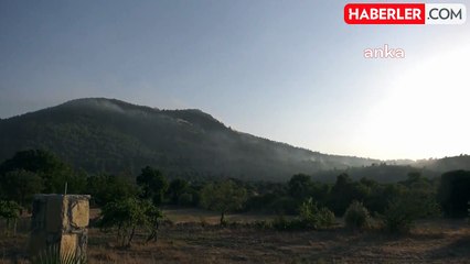 Muğla'da Bodrum'da çıkan orman yangını kontrol altına alındı