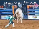 Homem morre após ser pisoteado por touro em rodeio