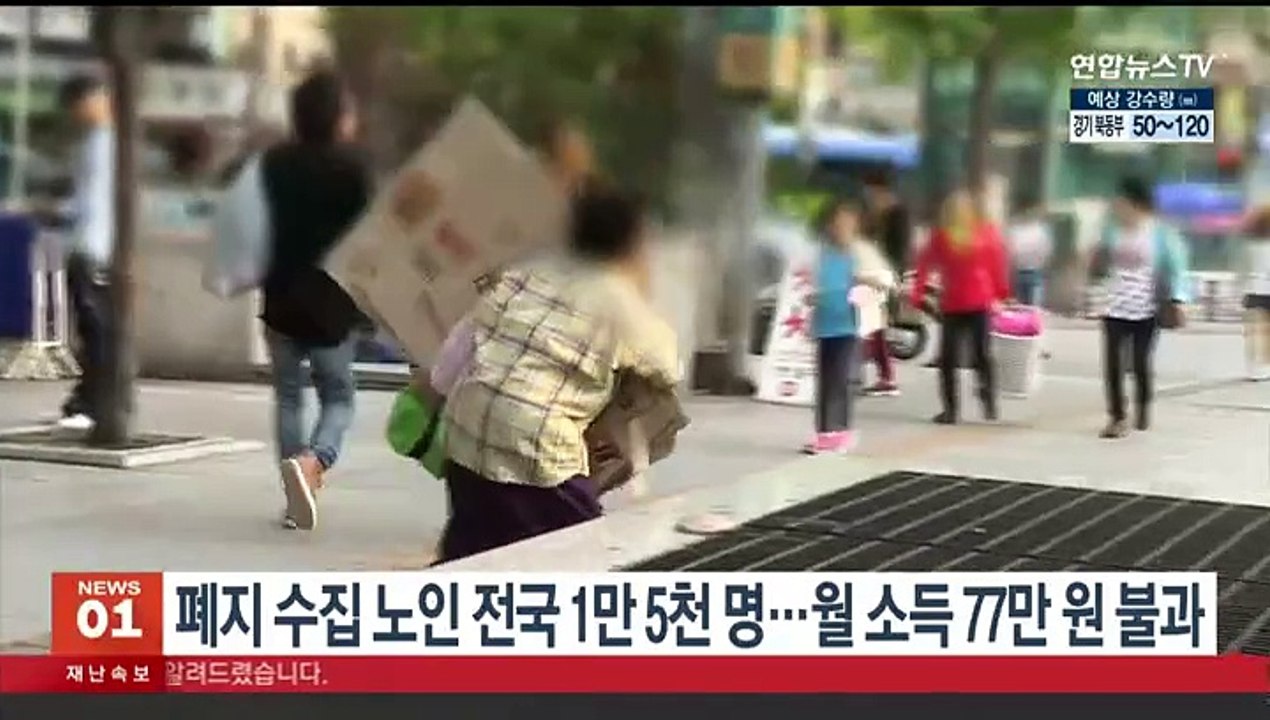 폐지수집 노인 전국 1만5천명…월소득 77만원 불과