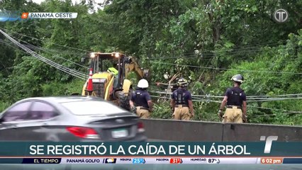 Poste cayó sobre un auto en Loma Cová