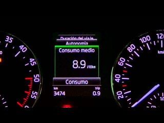 Škoda Octavia. Modelo 2013. Cuadro de instrumentos con pantalla MaxiDot a color