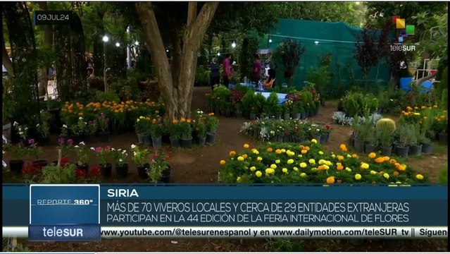 En Siria celebran feria internacional de flores en Damasco