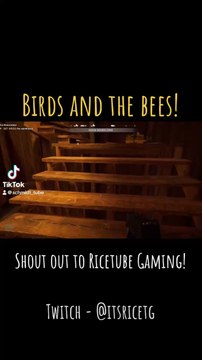 #farcry5 #clip #foryou #funny #funnyvideo #twitch #bees #ps5 #beeswarm #help #screaming #shorts #schmidttube #sorry #friendlyfire