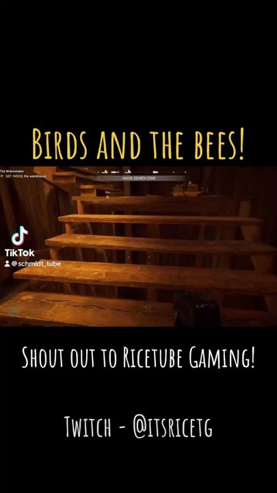 #farcry5 #clip #foryou #funny #funnyvideo #twitch #bees #ps5 #beeswarm #help #screaming #shorts #schmidttube #sorry #friendlyfire