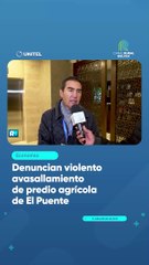 Denuncian violento avasallamiento de predio agrícola de El Puente