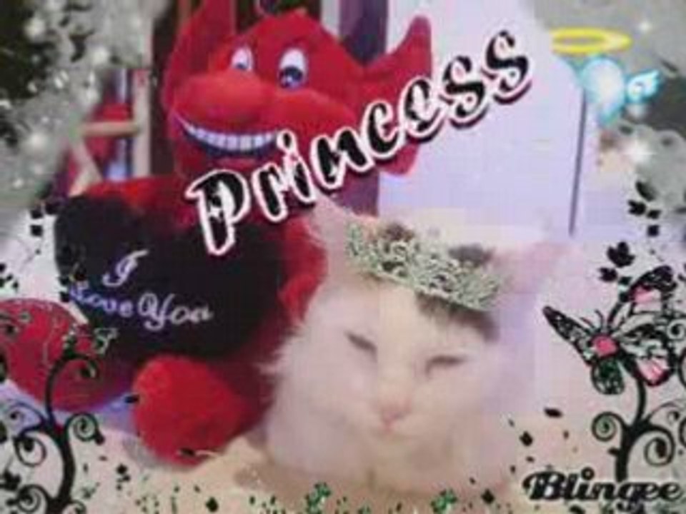 Nous,nos delires,...