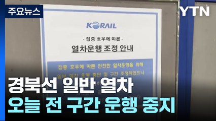 경북선 등 일반 열차 운행 중지...KTX는 정상운행 / YTN