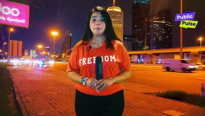 Property Leaks Dubai | Corrupt Pakistanis | Funny News Reporter