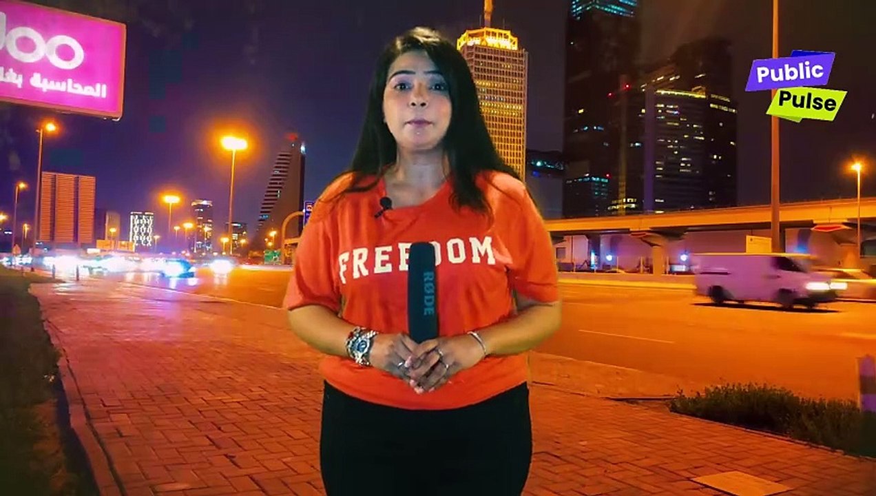 Property Leaks Dubai | Corrupt Pakistanis | Funny News Reporter