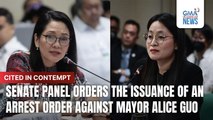 Senate panel orders issuance of arrest warrant vs Alice Guo