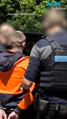 241kg of illicit drugs seized in shutdown of global importation ring