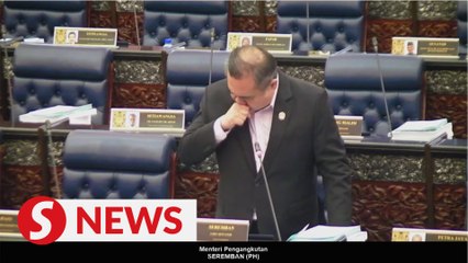 Brief flap in Parliament as Loke struggles to breathe during Question Time