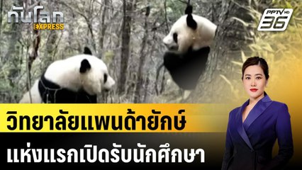 วิทยาลัยแพนด้ายักษ์แห่งแรกเปิดรับนักศึกษา| ทันโลก EXPRESS | 10 ก.ค. 67