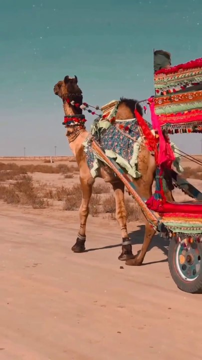 Thar culture