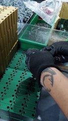 Create a New Project for July 10, 2024 🚀