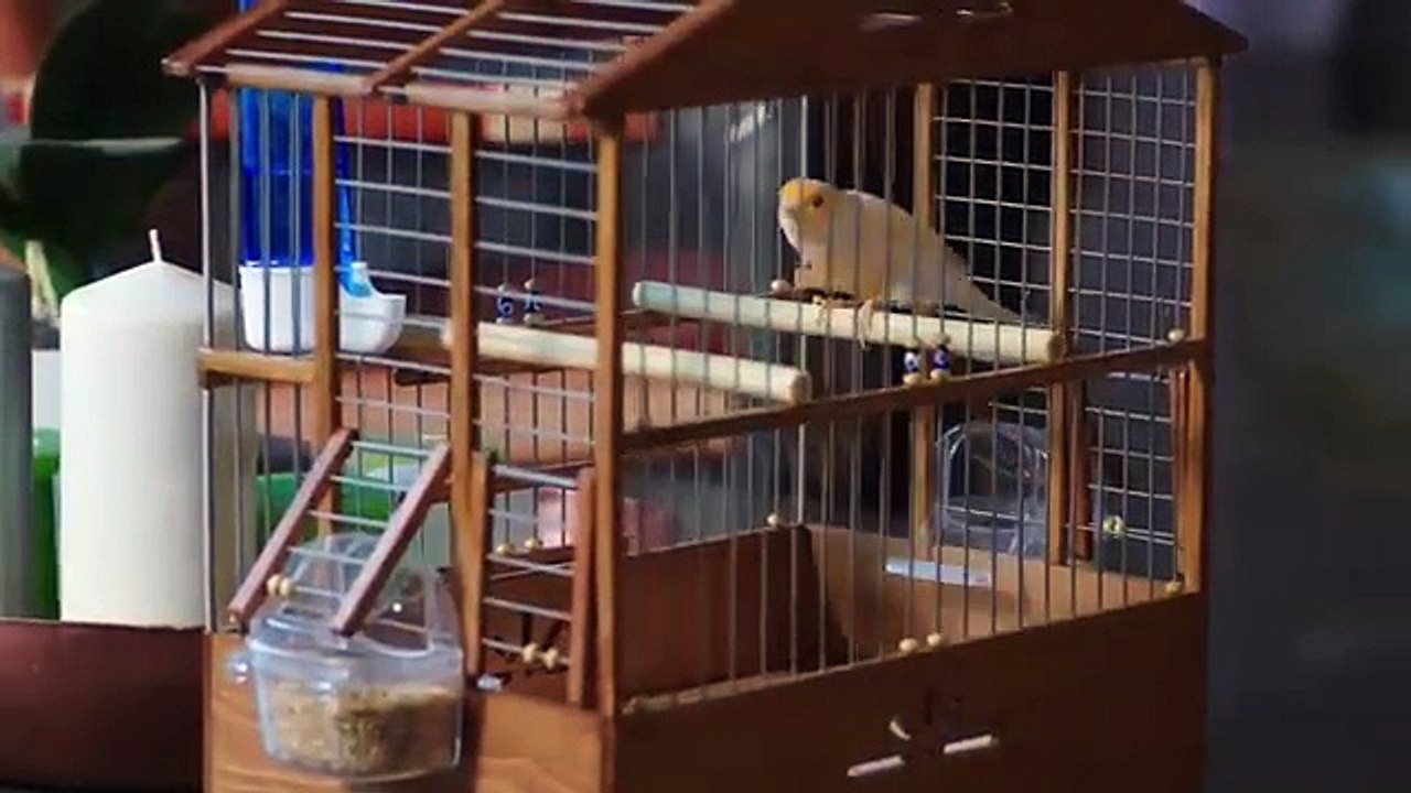 Waada (The Promise) - Episode 16  | URDU Dubbed | Season 1 [ترک ٹی وی سیریز اردو میں ڈب