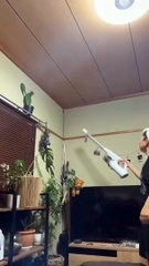 Problems that most people encounter when catching cockroaches