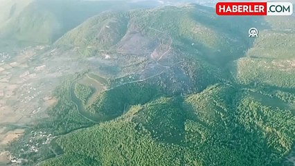 Bodrum'dan yükselen alevler 18 saatte kontrol altında! 100 hektarlık hasar gün ağarınca ortaya çıktı