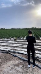 Cute Woman Flying Agriculture Drone: Tech in Farming