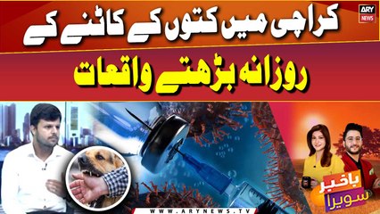 Spike in dog attacks in Karachi poses mortal threat