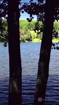 syalyava lake (Belarus)