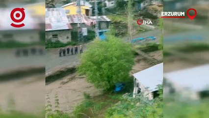 Sel Önüne Kattığını Götürdü, Dereler Taştı: 12 Hayvan Öldü