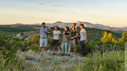 Wildlive Expeditions: Explore Nature with Experts 🌿