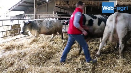 Prêts pour la mise en place du cahier des charges non OGM ?