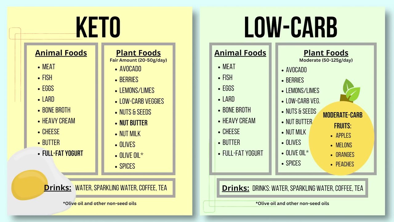 Carnivore Ketovore Keto Lowcarb Carb Limits and Food Lists - video Dailymotion for Free Printable Keto Cheat Sheet Printable