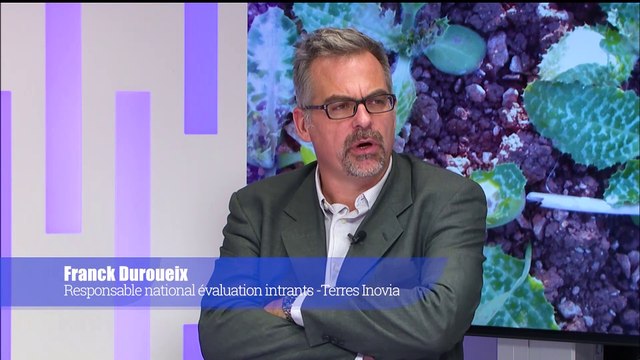 Herbicides de prélevée : un investissement pas toujours rentabilisé